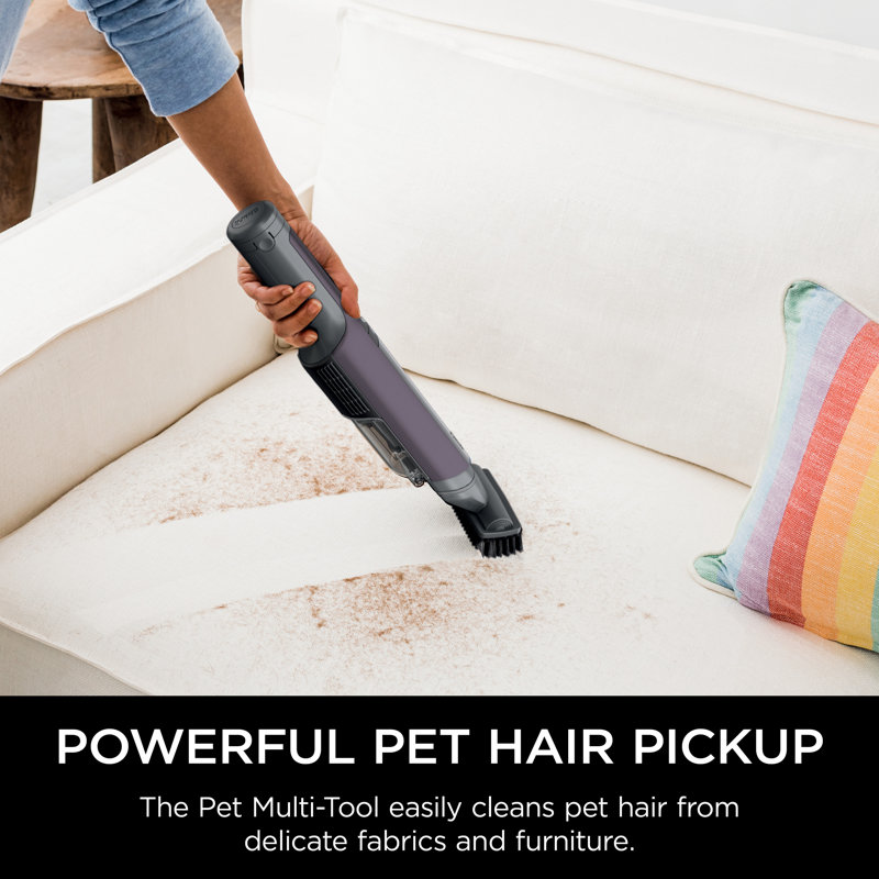 Shark Wandvac Power Pet Cordless Handheld Vacuum & Reviews Wayfair